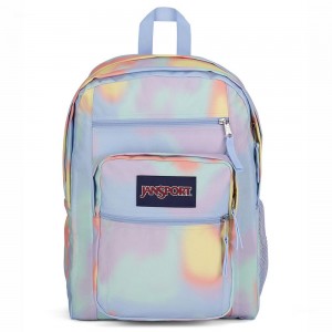 JanSport BIG STUDENT Laptop Rugzak Rugzakken Gekleurd | PNLER22215