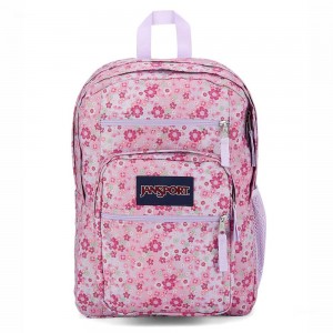 JanSport BIG STUDENT Laptop Rugzak Rugzakken Roze | NLQAV51156