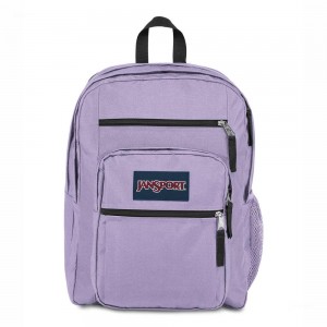 JanSport BIG STUDENT Laptop Rugzak Rugzakken Paars | NLJKU85501