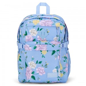 JanSport Main Campus Laptop Rugzak Rugzakken Lichtblauw | NLCIF96917