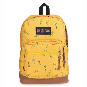 JanSport Right Pack Laptop Rugzak Rugzakken Geel | NLCVG10279