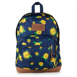 JanSport Right Pack Schoolrugzakken Rugzakken Donkerblauw Geel | TNLWZ80303