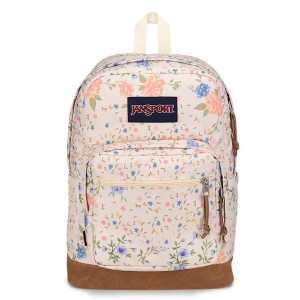 JanSport Right Pack Schoolrugzakken Rugzakken Beige | ENLHC70830