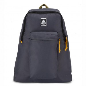 JanSport SKI N HIKE Schoolrugzakken Rugzakken Grijs | NLDFL38146