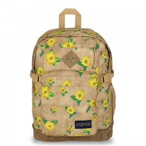 JanSport SUEDE CAMPUS Schoolrugzakken Rugzakken Khaki | GNLEC29717