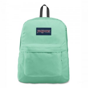 JanSport SuperBreak® Plus Schoolrugzakken Rugzakken Turquoise | ANLDF64478