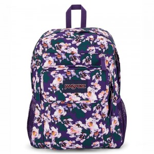 JanSport UNION PACK Laptop Rugzak Rugzakken Paars | ZNLNQ19295