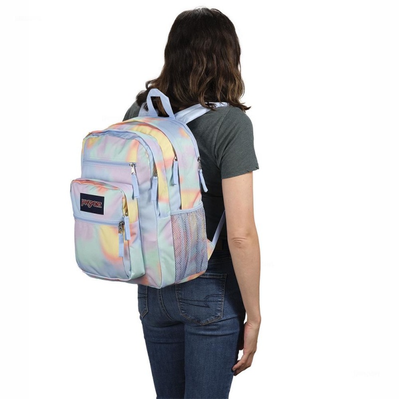 JanSport BIG STUDENT Laptop Rugzak Rugzakken Gekleurd | PNLER22215