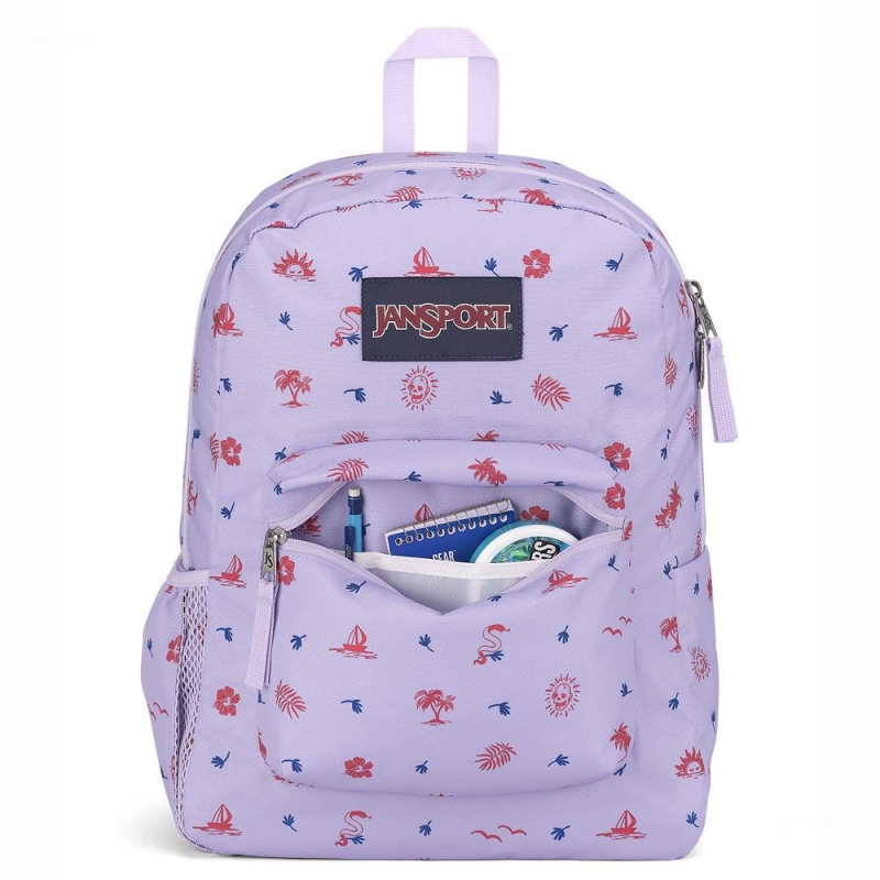 JanSport CROSS TOWN Schoolrugzakken Rugzakken Lichtpaars | SNLVO86270