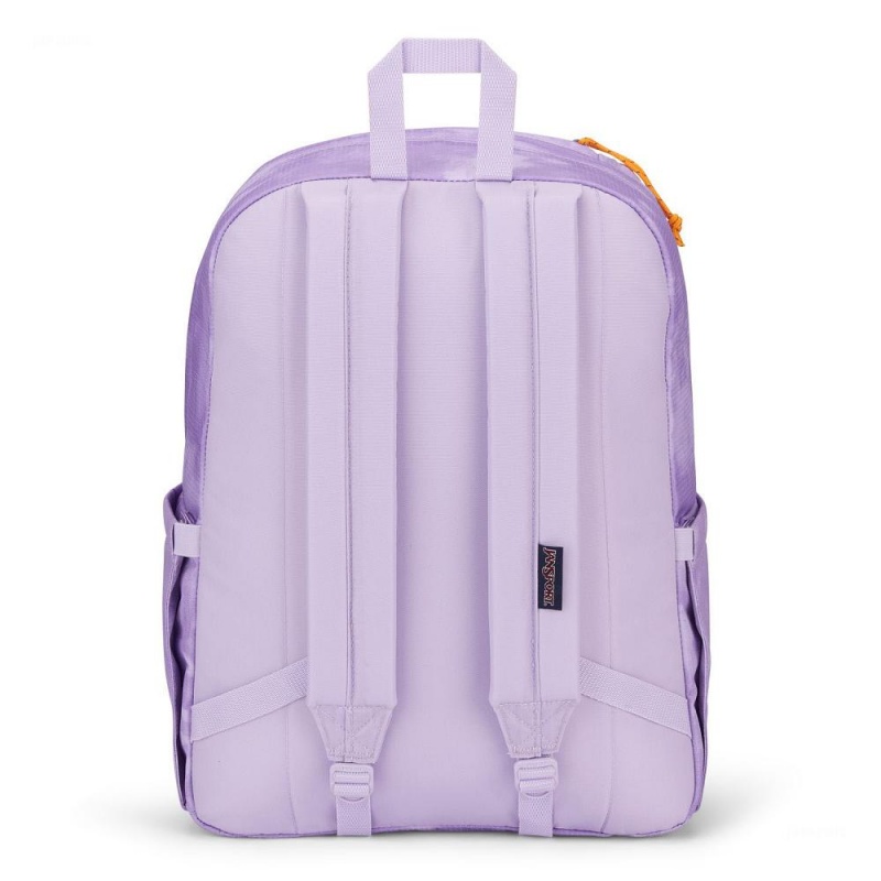 JanSport Double Break Laptop Rugzak Rugzakken Paars | NLNEJ41340