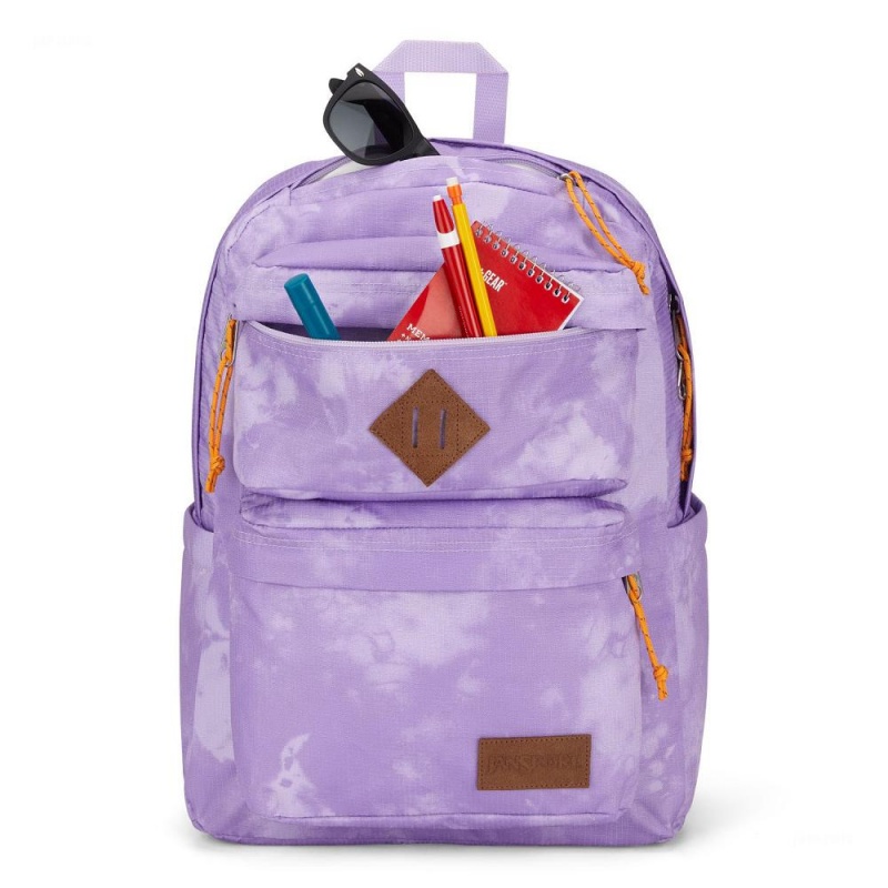 JanSport Double Break Schoolrugzakken Rugzakken Paars | GNLEC66693