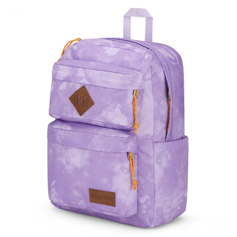 JanSport Double Break Schoolrugzakken Rugzakken Paars | GNLEC66693