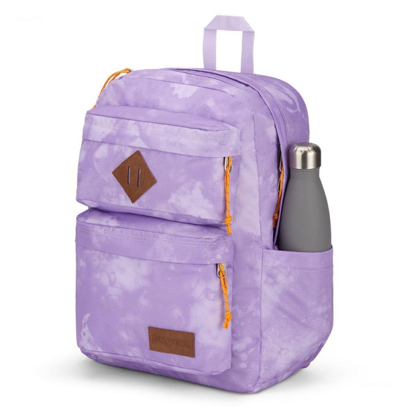 JanSport Double Break Schoolrugzakken Rugzakken Paars | GNLEC66693