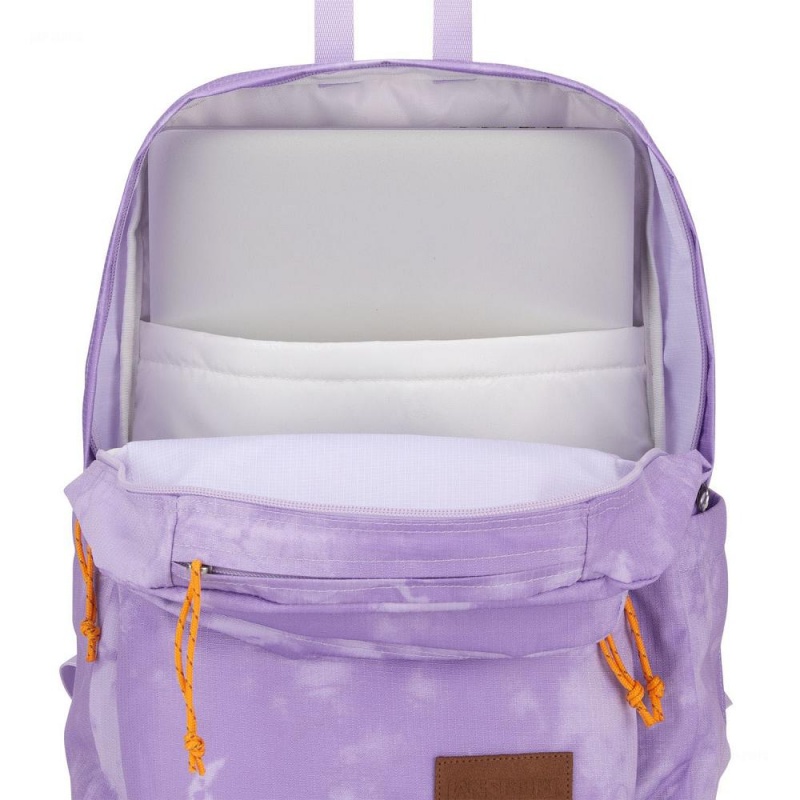 JanSport Double Break Schoolrugzakken Rugzakken Paars | GNLEC66693