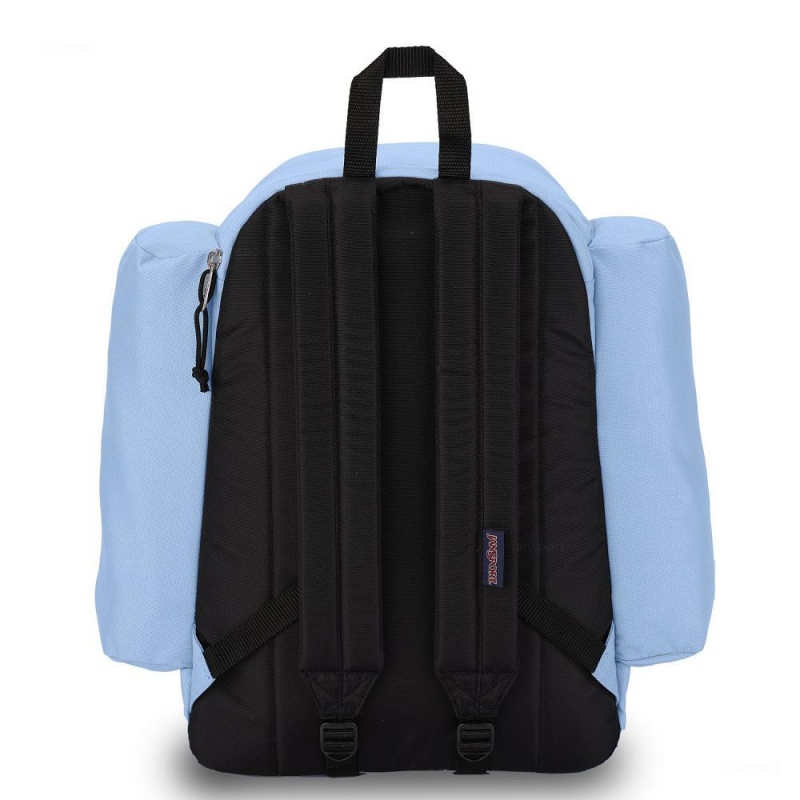 JanSport Field Pack Schoolrugzakken Rugzakken Blauw | NLJZR59111