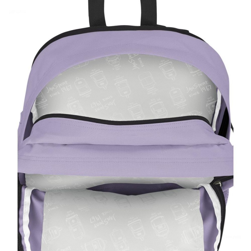 JanSport Main Campus Laptop Rugzak Rugzakken Paars | ZNLNQ17226