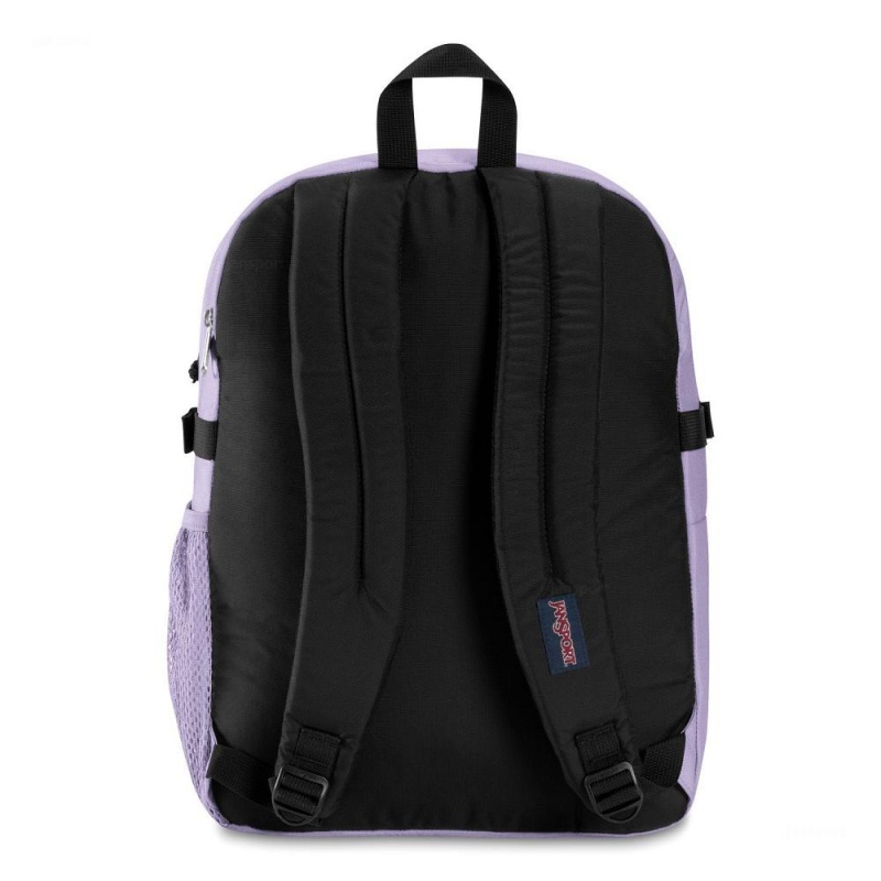 JanSport Main Campus Laptop Rugzak Rugzakken Paars | ZNLNQ17226