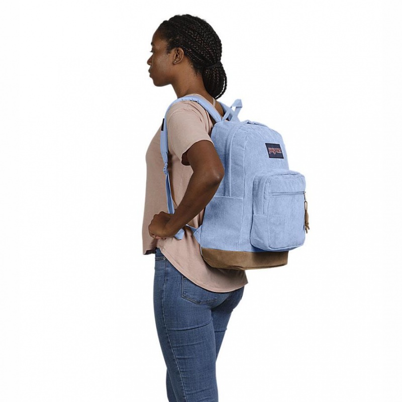 JanSport Right Pack Schoolrugzakken Rugzakken Blauw | NLDYB46649