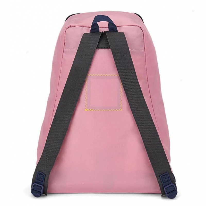 JanSport SKI N HIKE Schoolrugzakken Rugzakken Roze | LNLTR96822