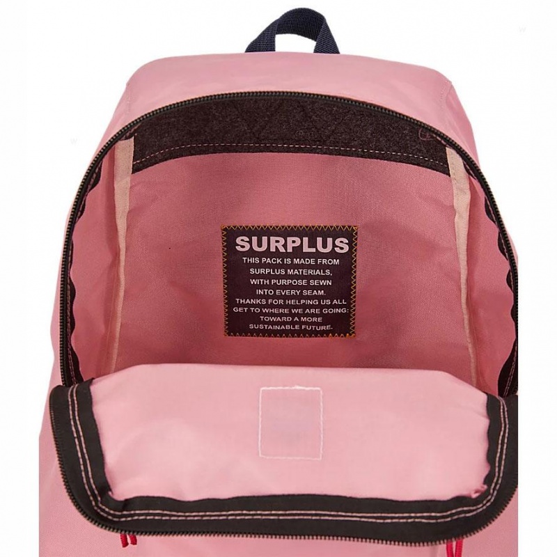 JanSport SKI N HIKE Schoolrugzakken Rugzakken Roze | LNLTR96822