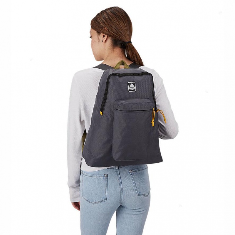 JanSport SKI N HIKE Schoolrugzakken Rugzakken Grijs | NLDFL38146