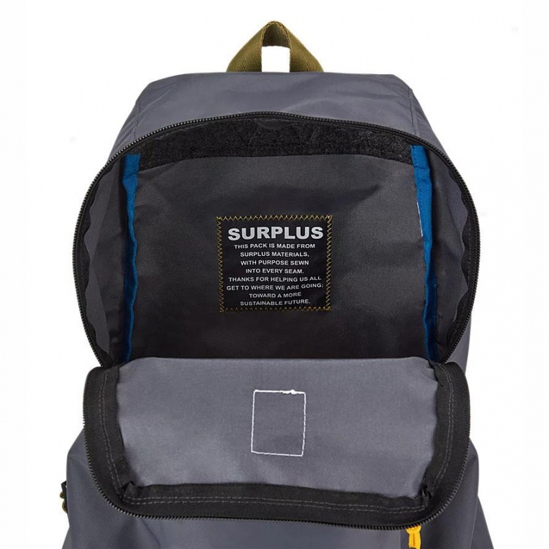 JanSport SKI N HIKE Schoolrugzakken Rugzakken Grijs | NLDFL38146