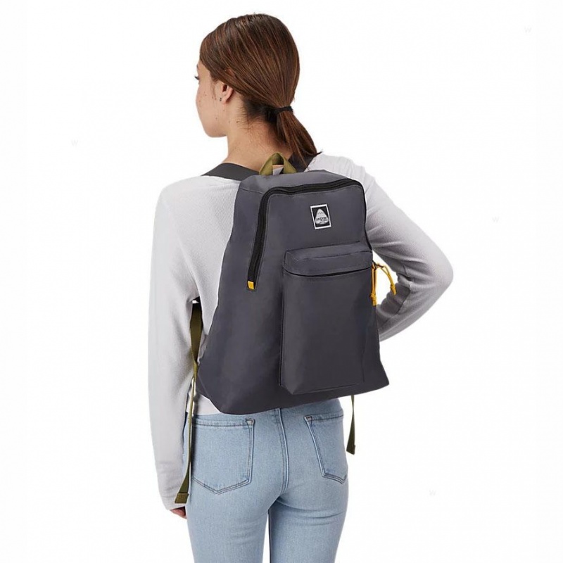 JanSport SKI N HIKE Schoolrugzakken Rugzakken Grijs | NLDFL38146