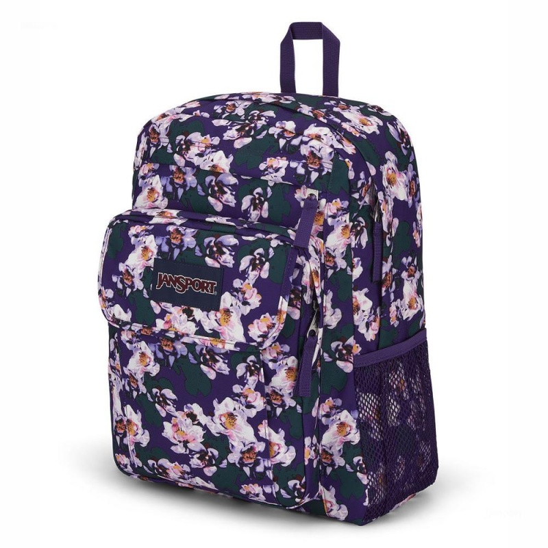 JanSport UNION PACK Laptop Rugzak Rugzakken Paars | ZNLNQ19295