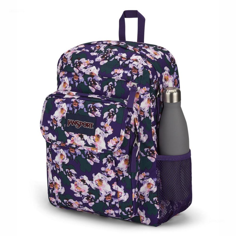 JanSport UNION PACK Laptop Rugzak Rugzakken Paars | ZNLNQ19295