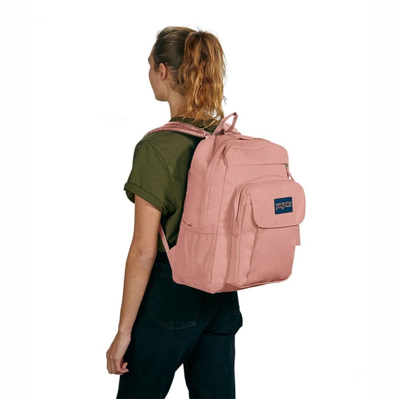 JanSport UNION PACK Laptop Rugzak Rugzakken Roze | SNLVO33701